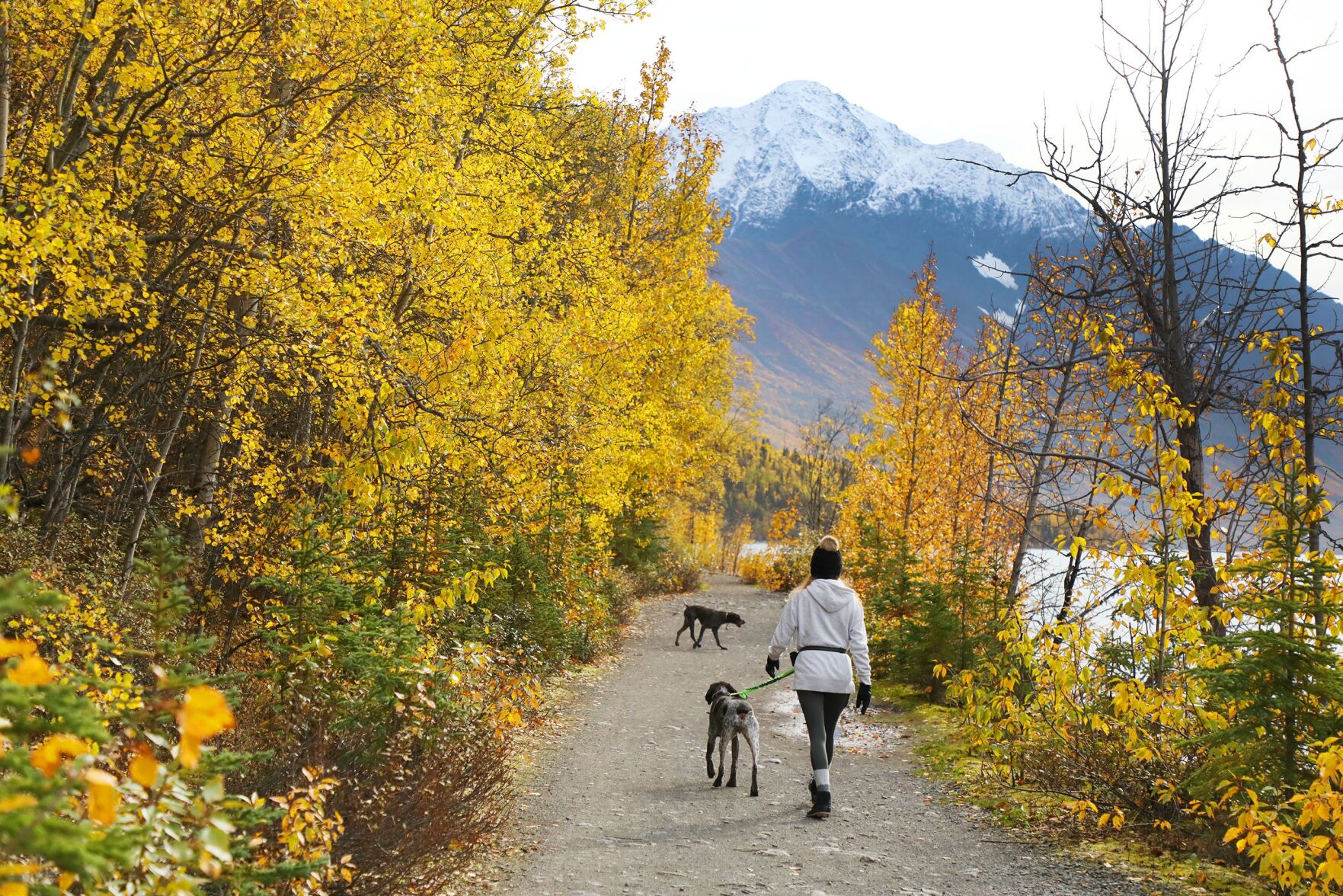 Alaska